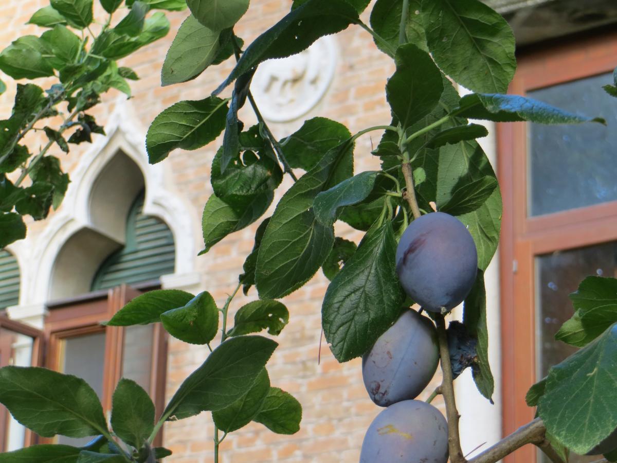 Frühstückspension Elisabetta Lido di Venezia
